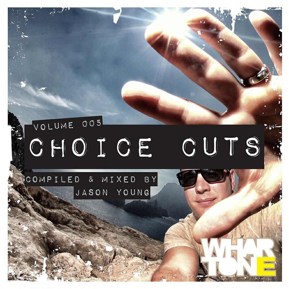 Jason Young - Choice Cuts Vol. 005 Mixed by Jason Young (Continuous DJ Mix)