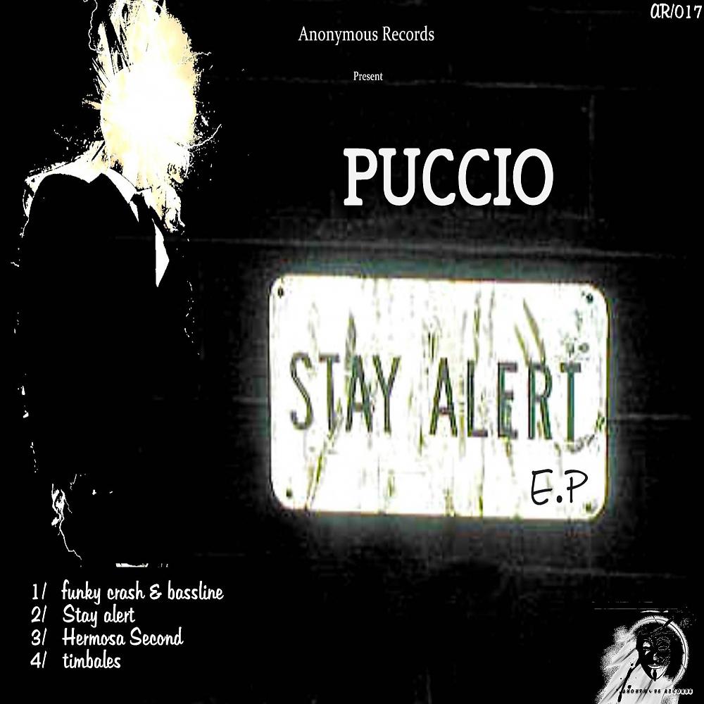 Постер альбома Stay Alert