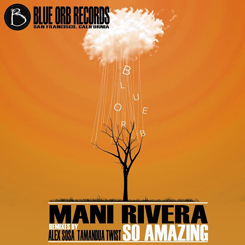 Mani Rivera - So Amazing (Tamandua Twist Remix)