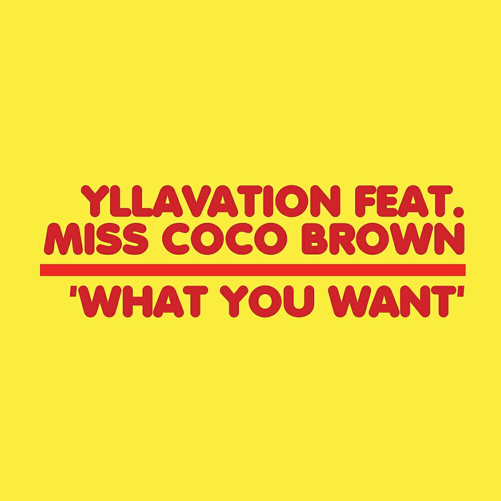 Yllavation - What You Want (2 Step Full Vocal  Mix)