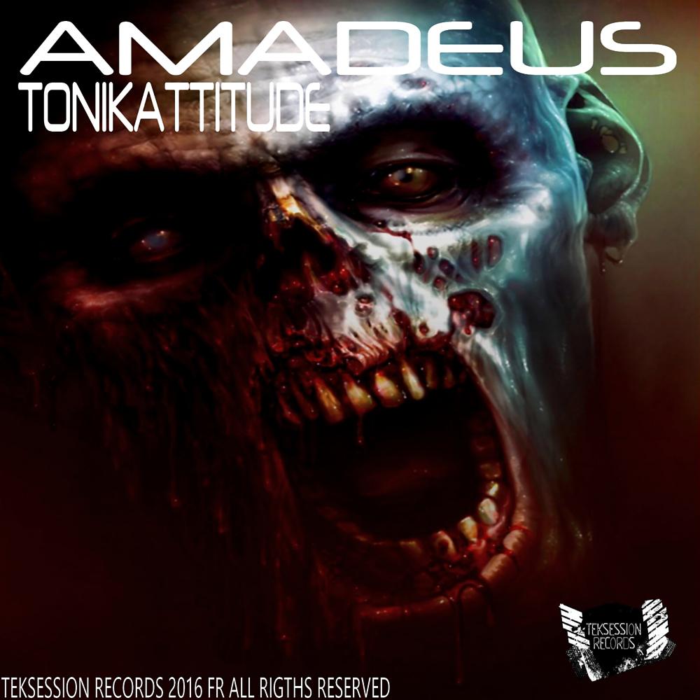 Постер альбома Amadeus