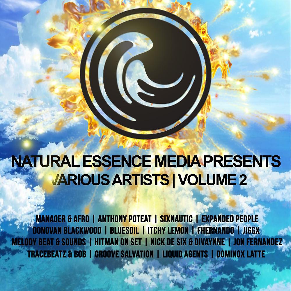 Постер альбома Natural Essence Media, Vol. 2