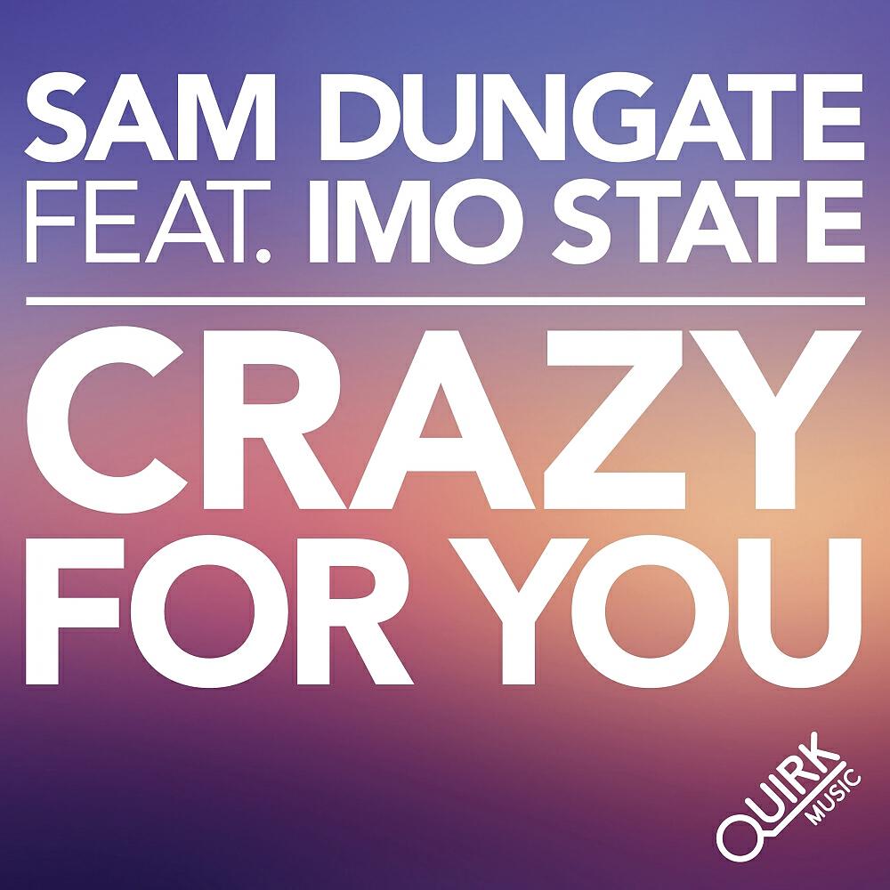 Sam Dungate - Crazy For You (Frank Bizzle Remix)