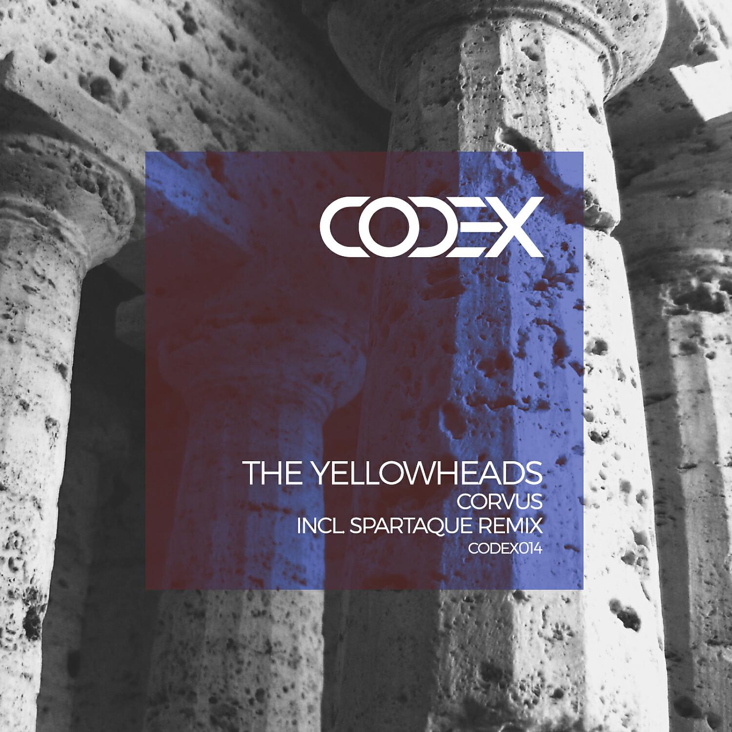 The YellowHeads - Corvus (Original Mix)