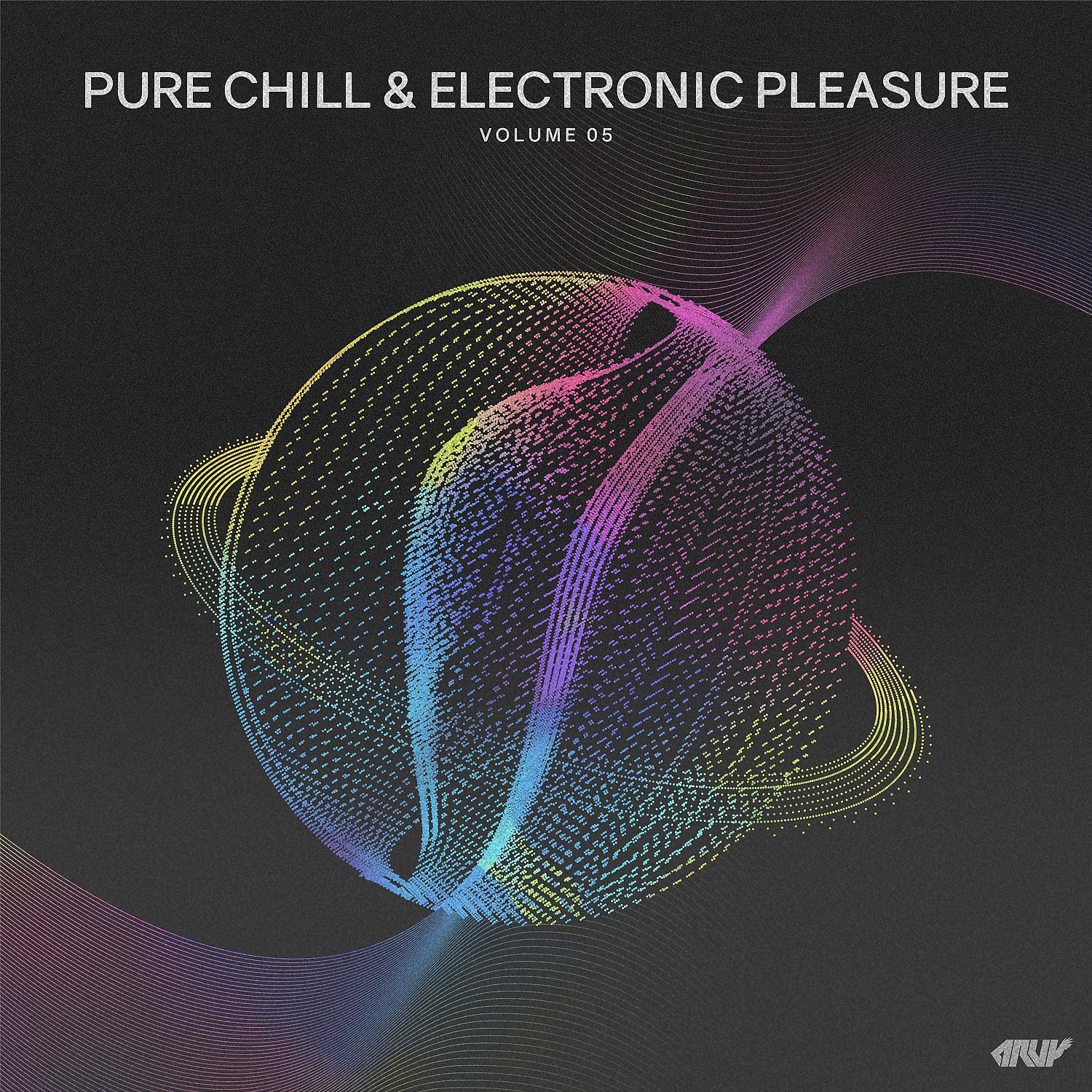 Постер альбома Pure Chill & Electronic Pleasure, Vol.05