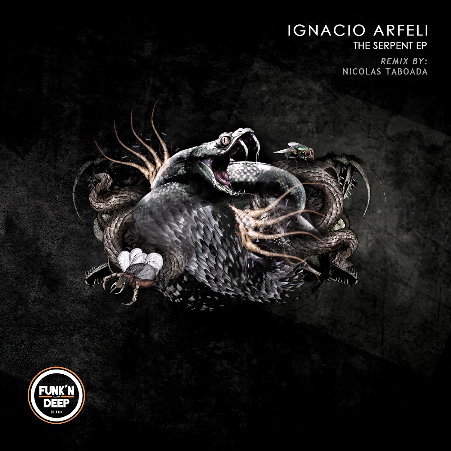 Ignacio Arfeli - Defragmental (Nicolas Taboada Remix)