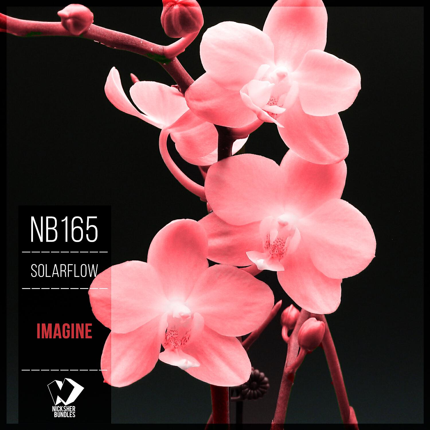 SolarFlow - Life in Goodness (Original Mix)