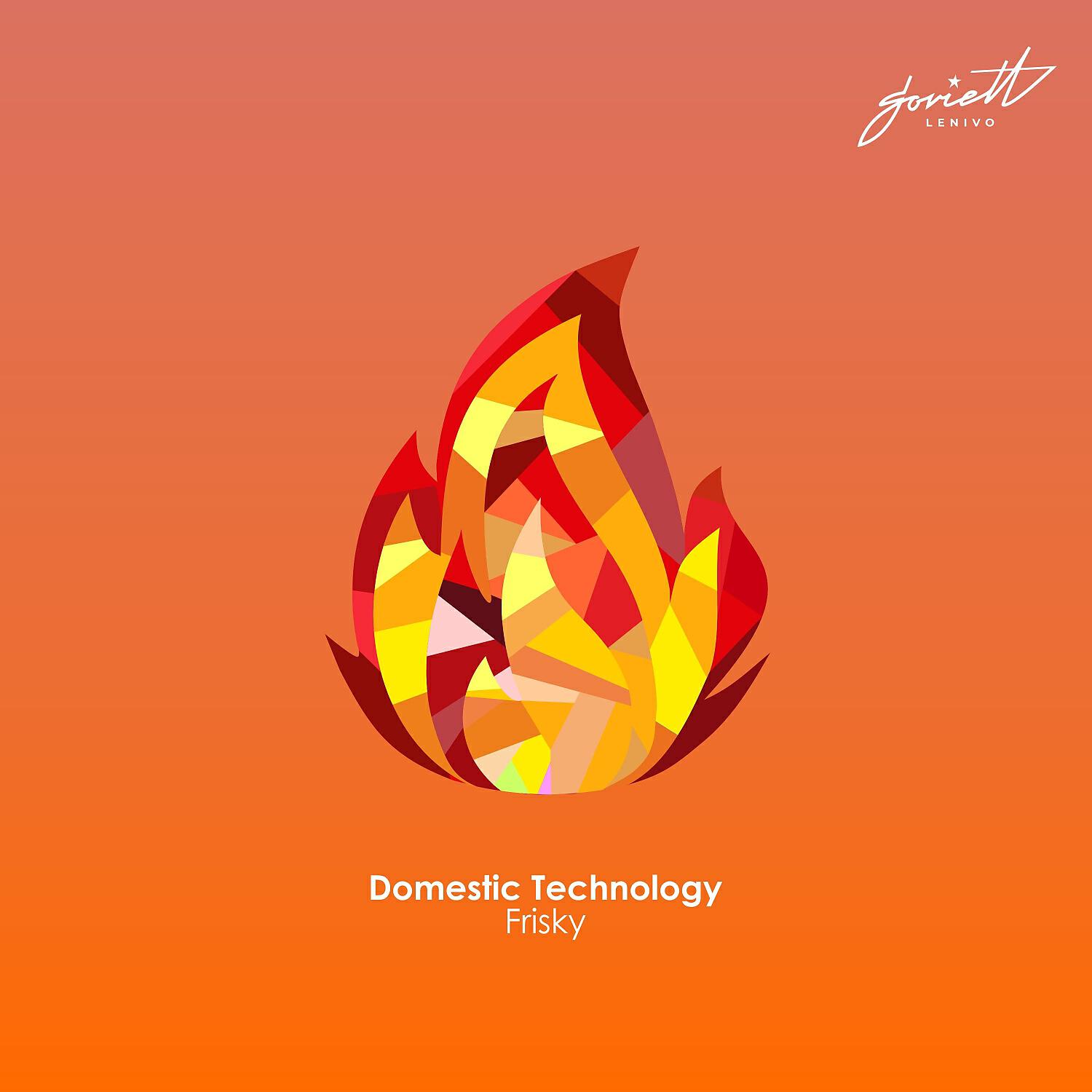 Domestic Technology - Frisky (Dario Suerte Remix)