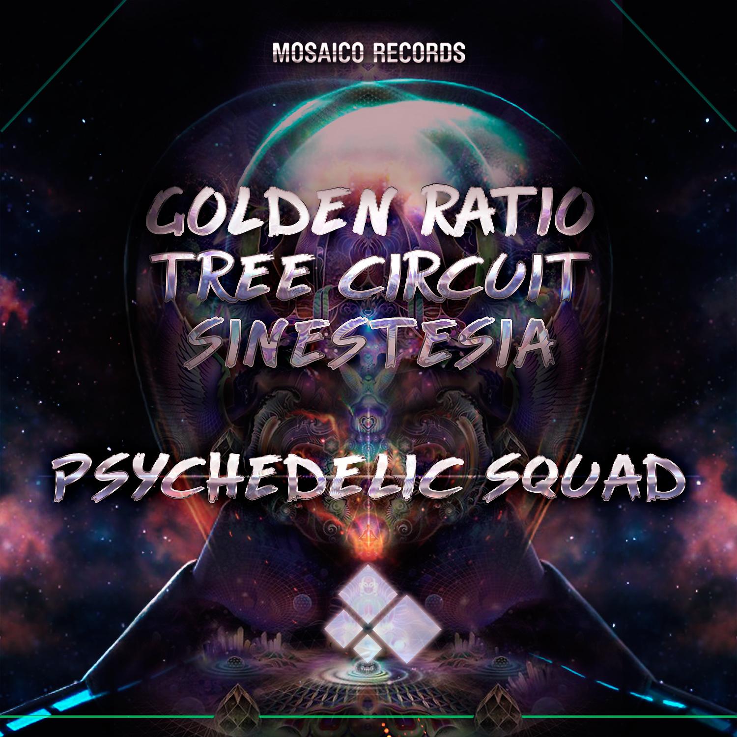 Постер альбома Psychedelic Squad