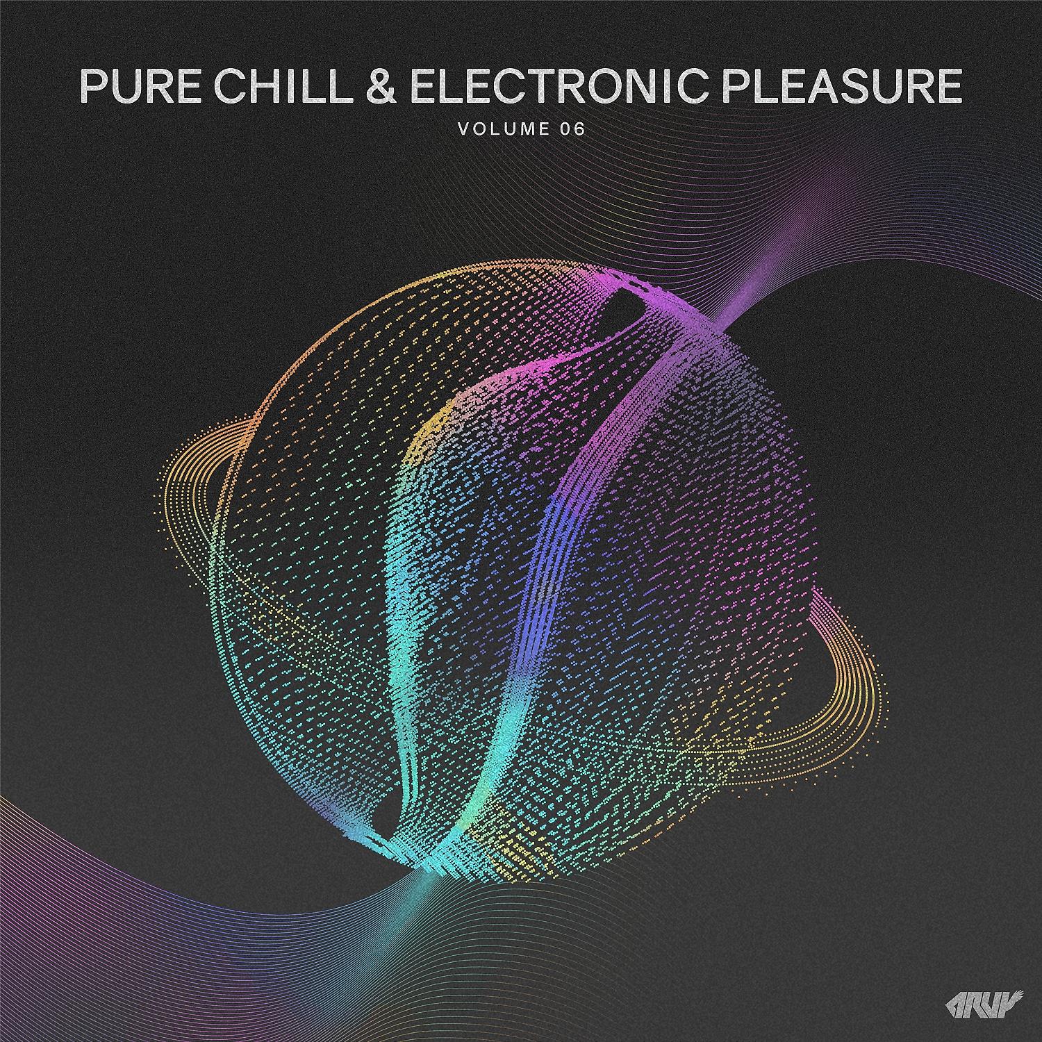Постер альбома Pure Chill & Electronic Pleasure, Vol.06