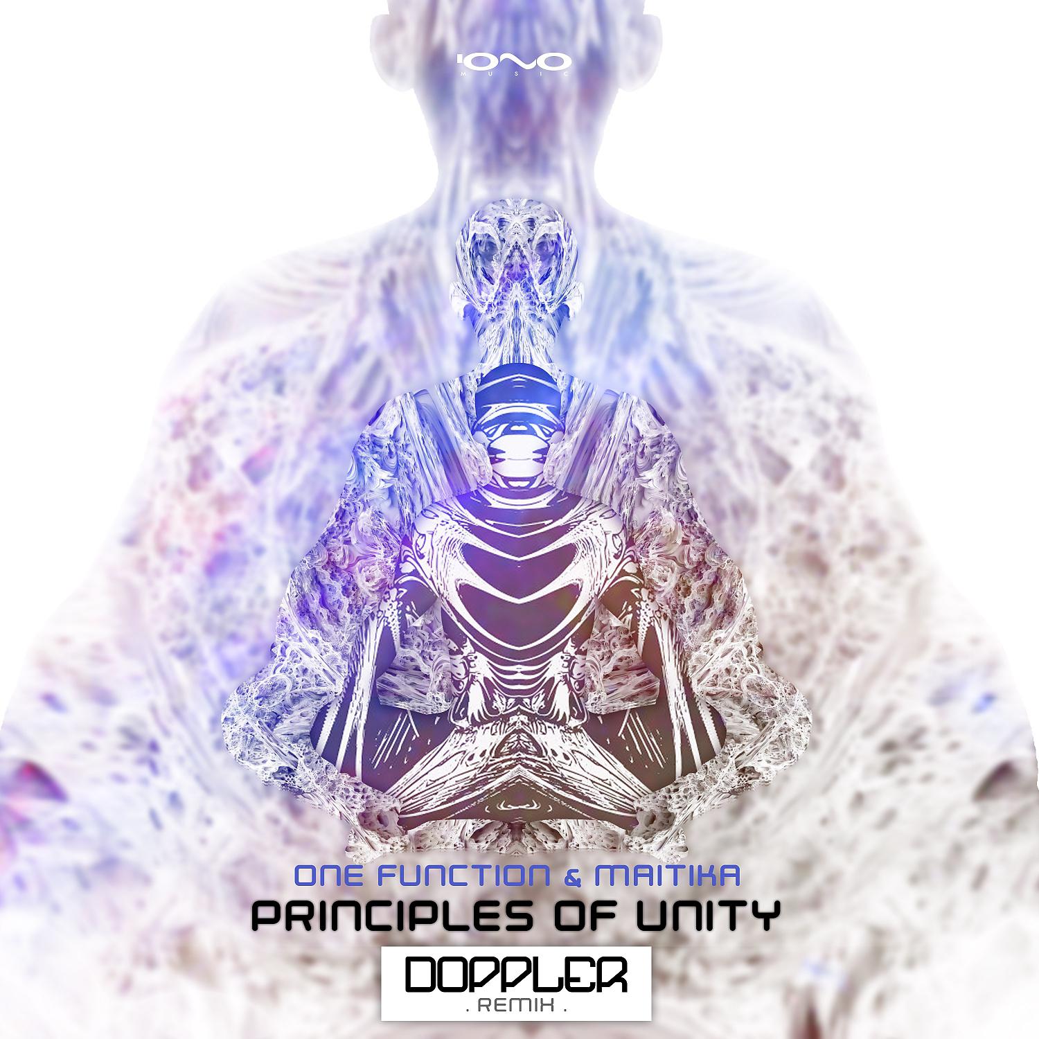 Постер альбома Principles of Unity (Doppler Remix)