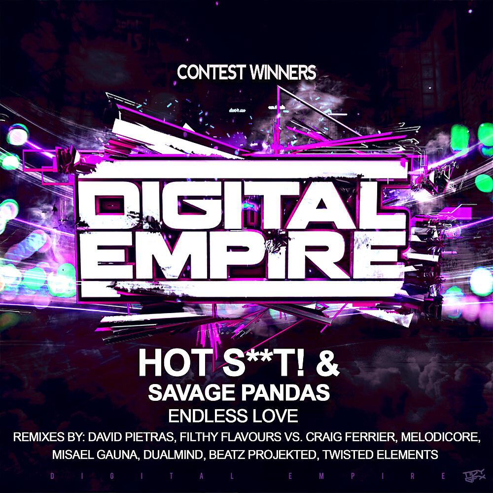 Hot Shit! - Endless Love (Beatz Projekted Remix)