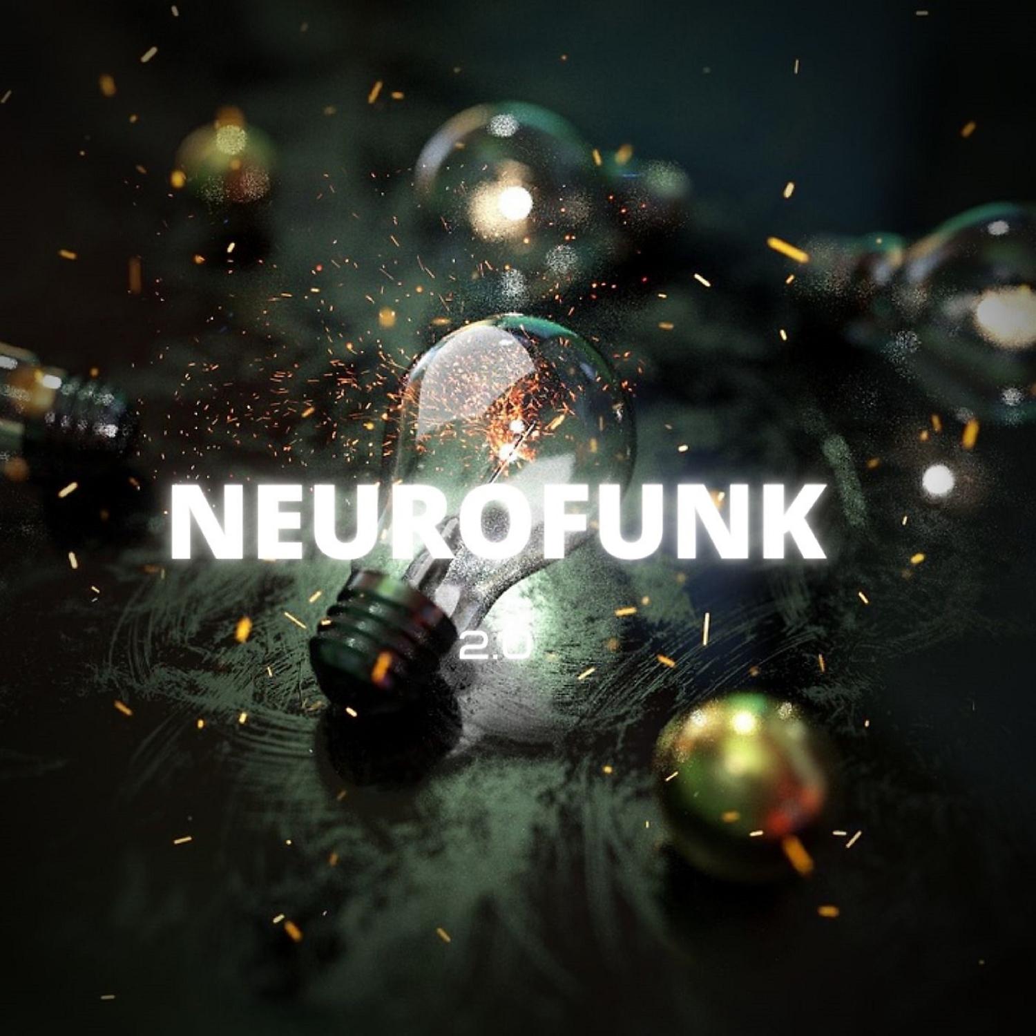 Постер альбома Neurofunk 2.0
