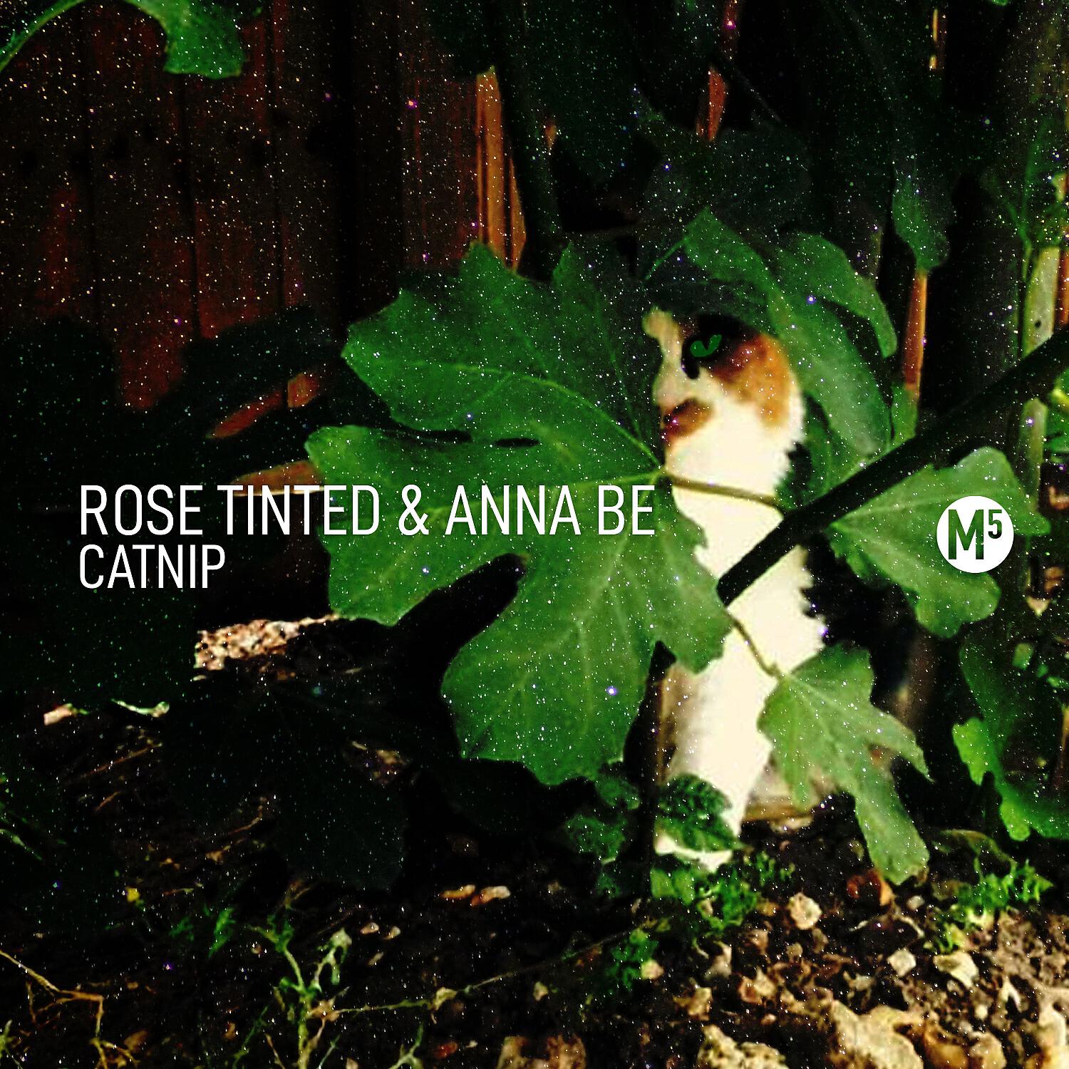 Rose Tinted & Anna Be - Cat Nip (Original Mix)