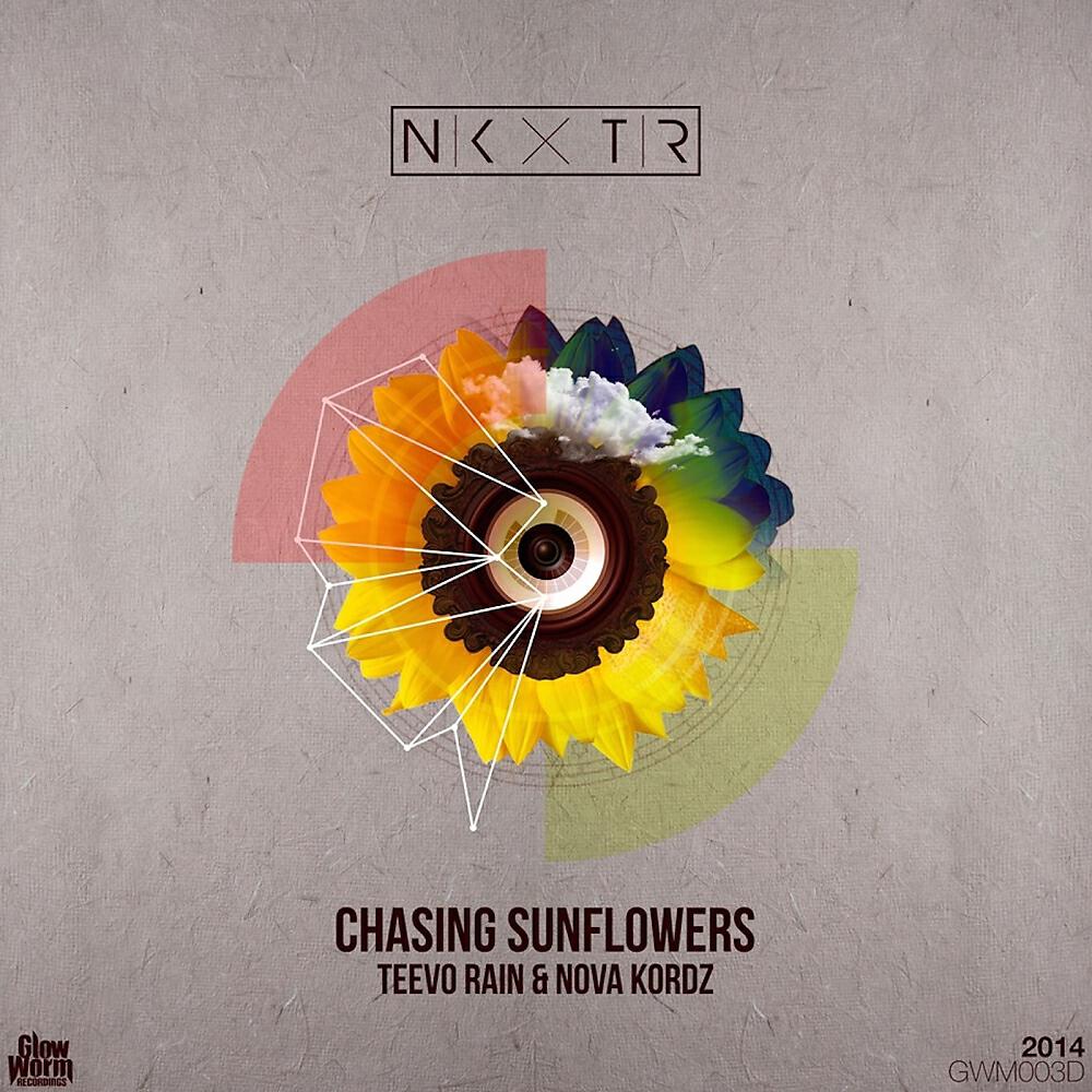 NKXTR - Chasing Sunflowers (Aion Winter Remix)