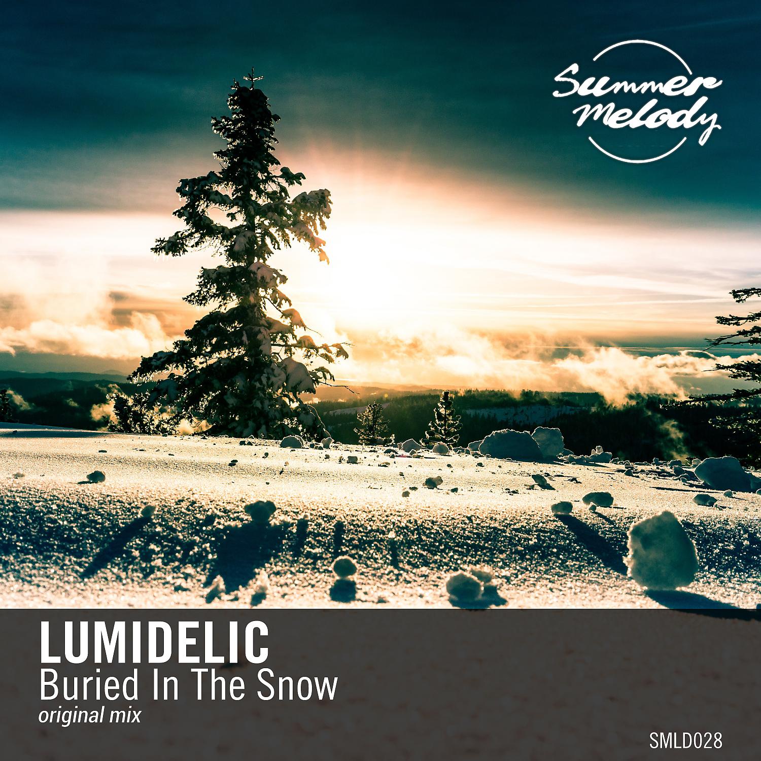 Постер альбома Buried in the Snow