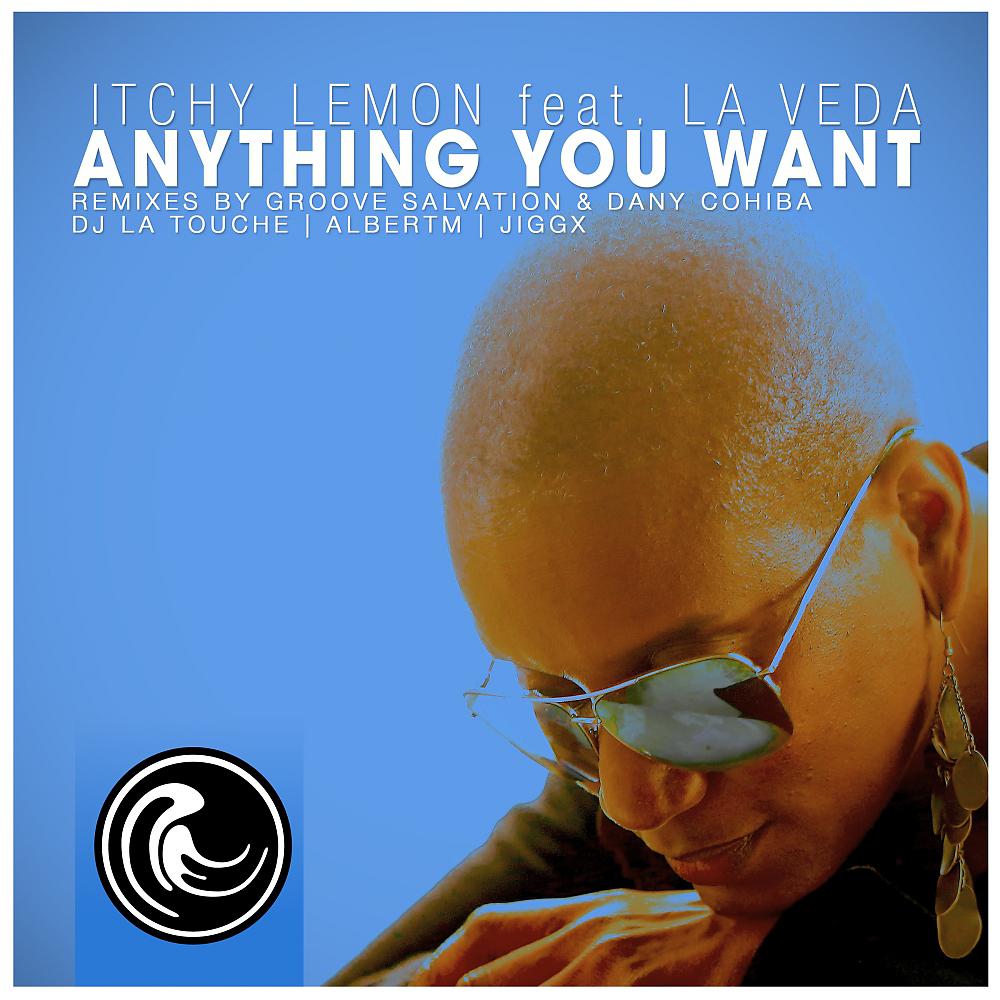 Постер альбома Anything You Want