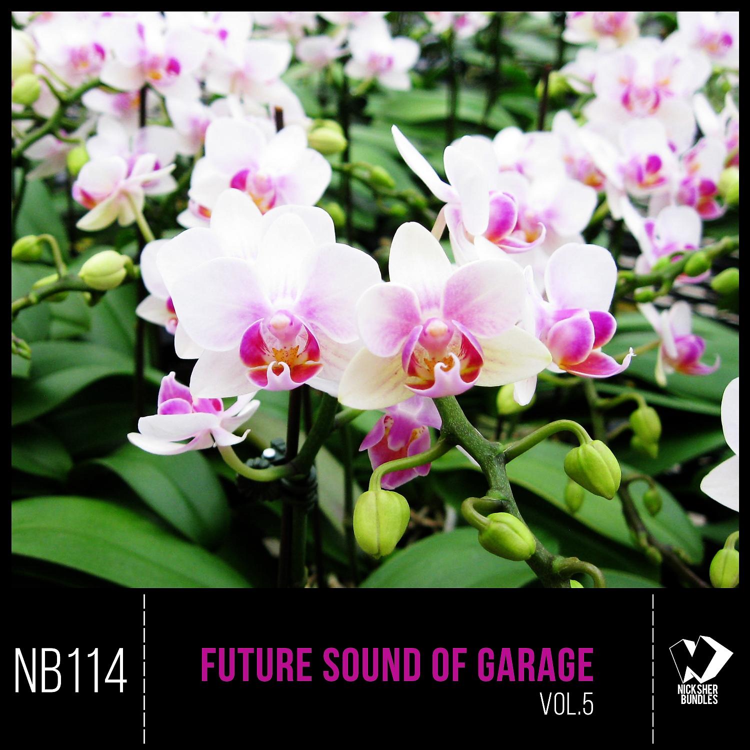 Постер альбома Future Sound of Garage, Vol. 5