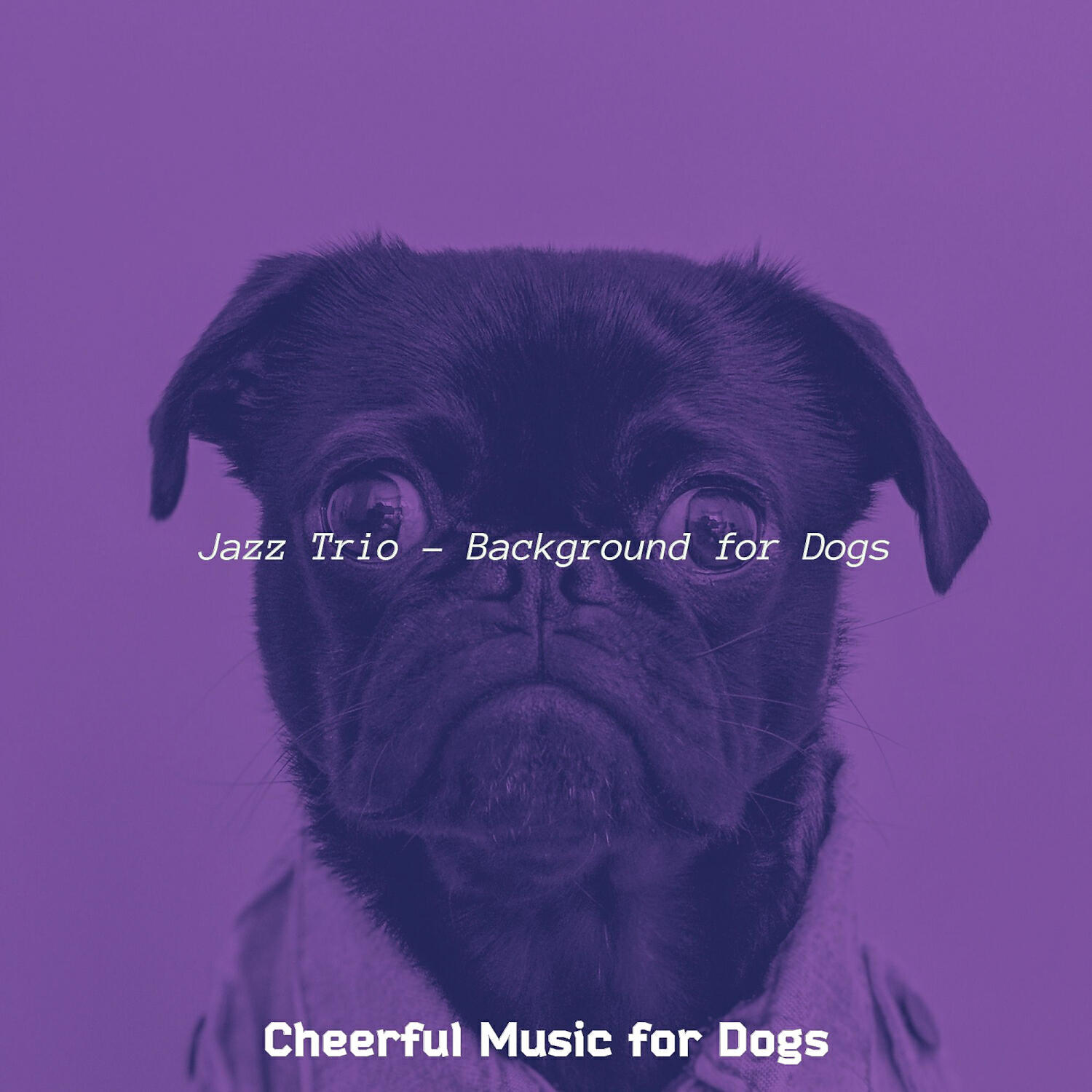 Cheerful Music for Dogs - Retro Jazz Guitar Trio - Vibe for Sleeping Dogs