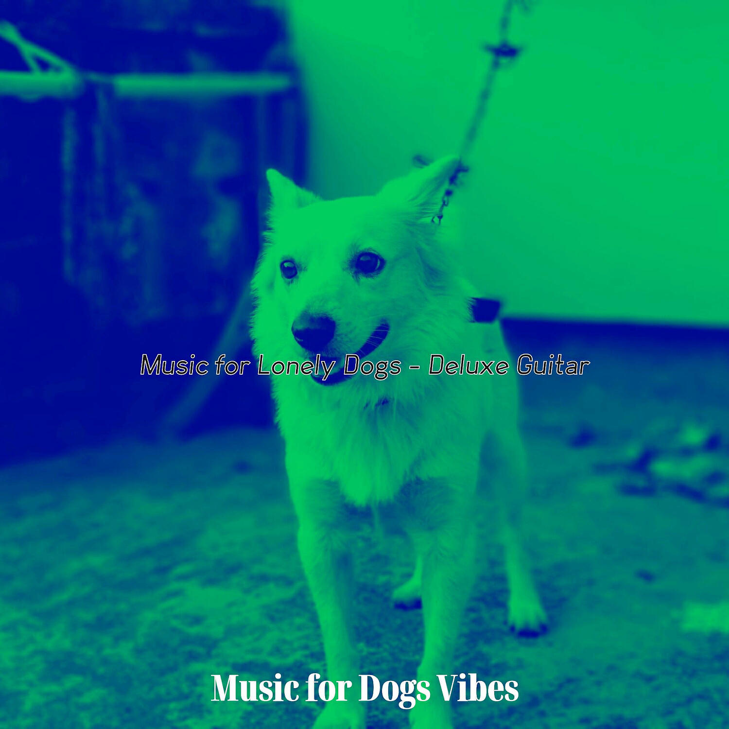 Music for Dogs Vibes - Deluxe Music for Cute Puppies