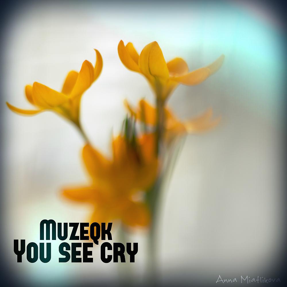 Постер альбома You See Cry