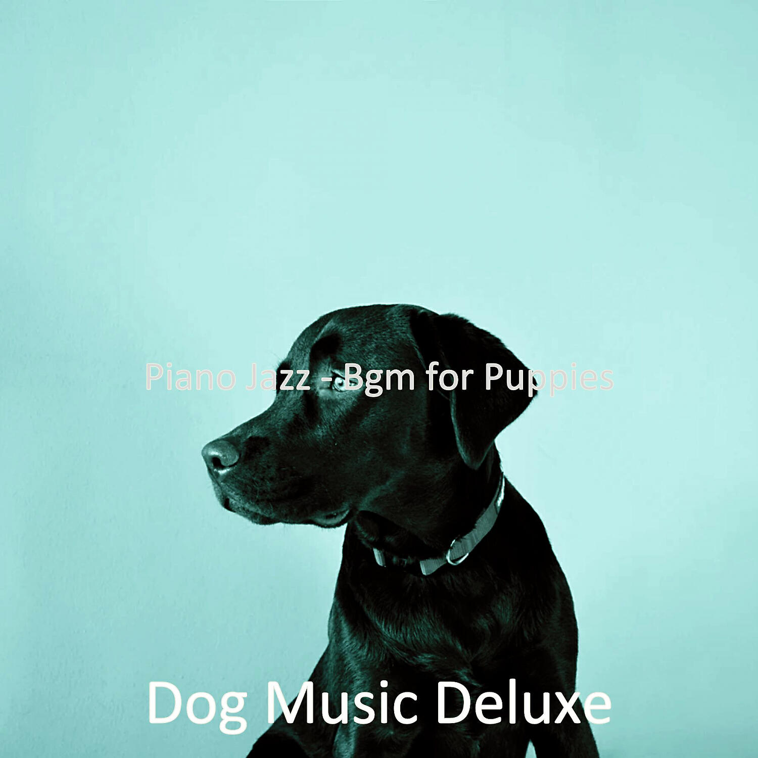 Dog Music Deluxe - Calm Moods for Doggy Training