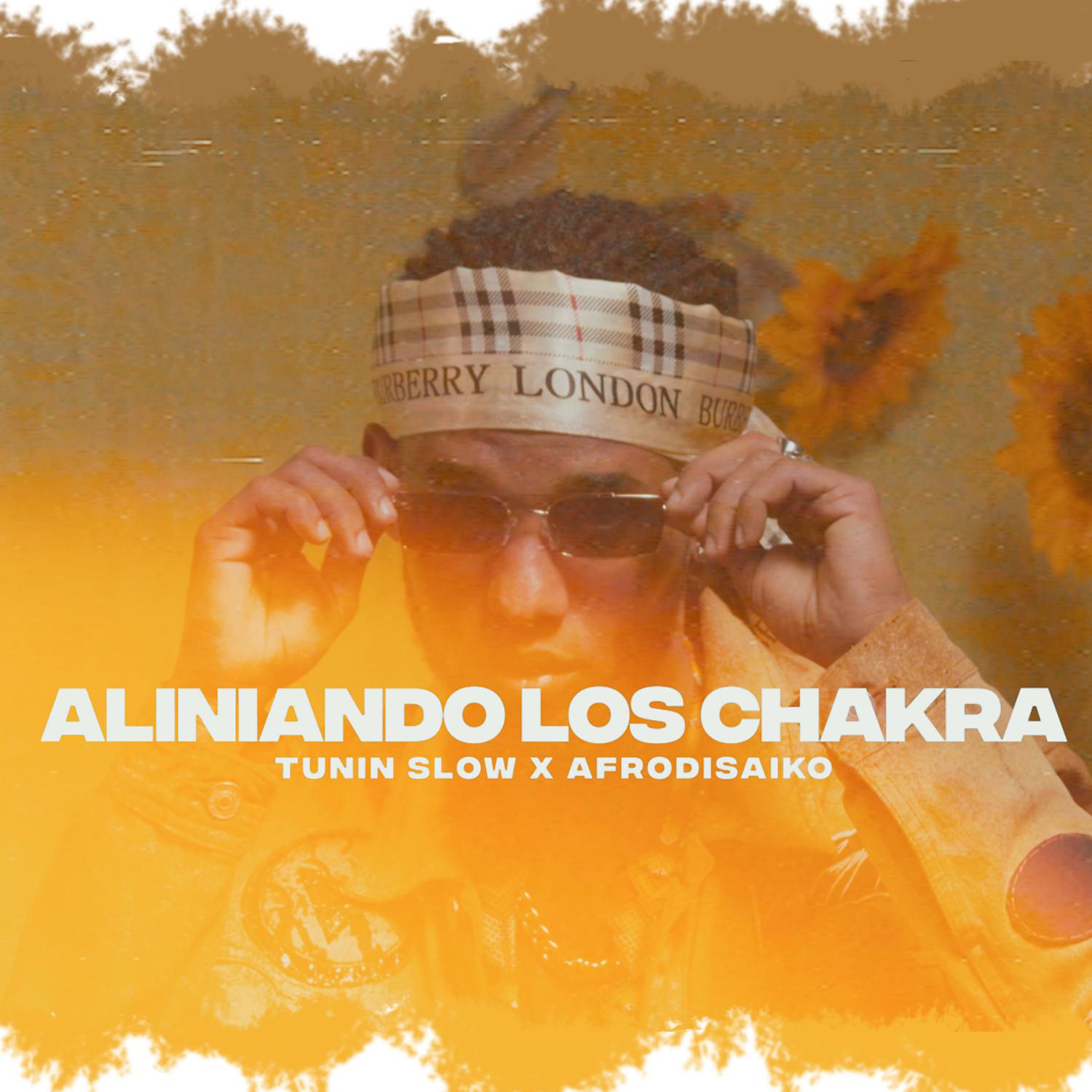 Постер альбома Aliniando los chakras