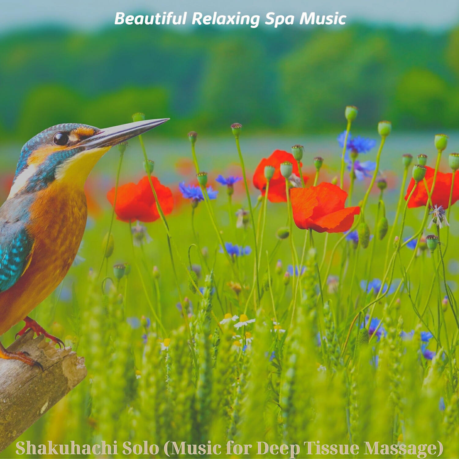 Beautiful Relaxing Spa Music - Fantastic Music for Aromatherapy Massages