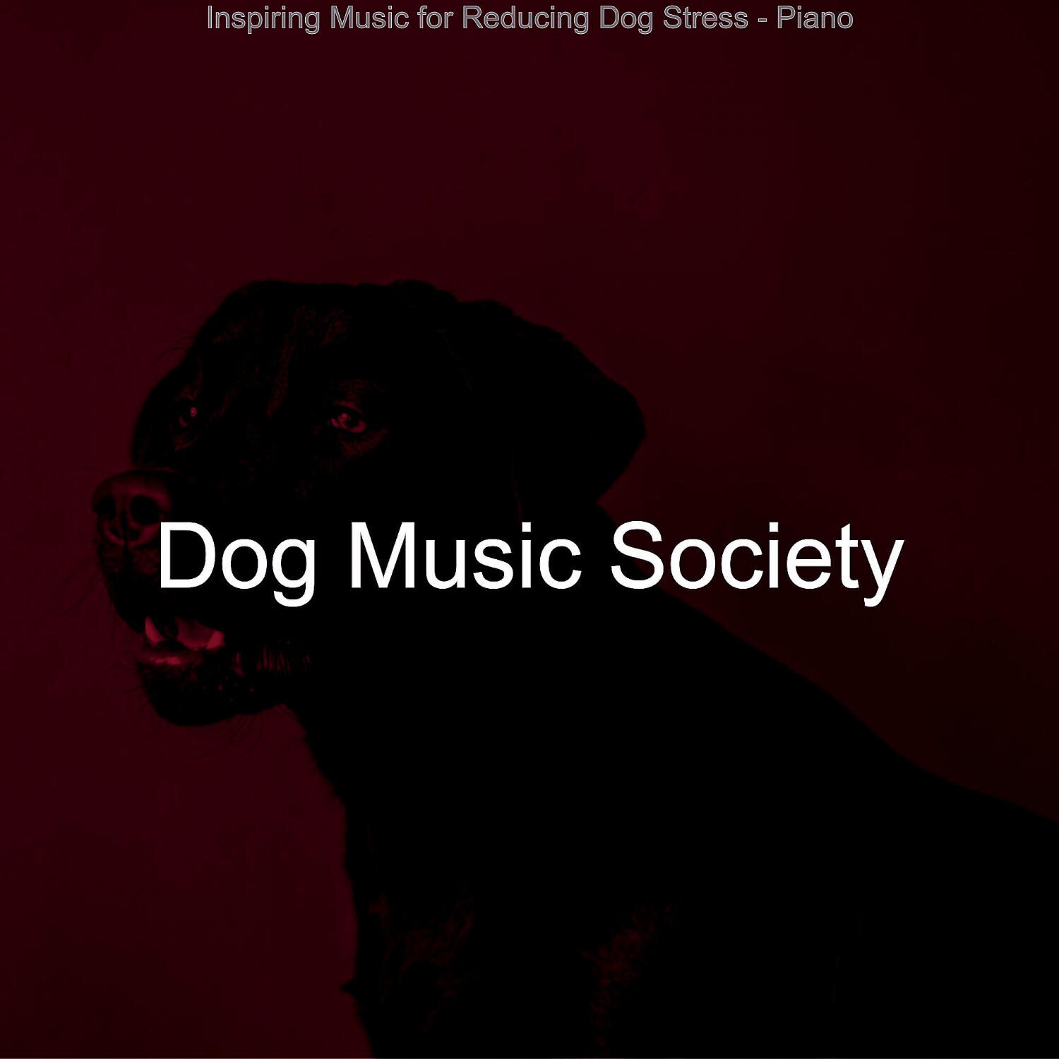 Dog Music Society - Spacious Solo Piano Jazz - Vibe for Resting Dogs