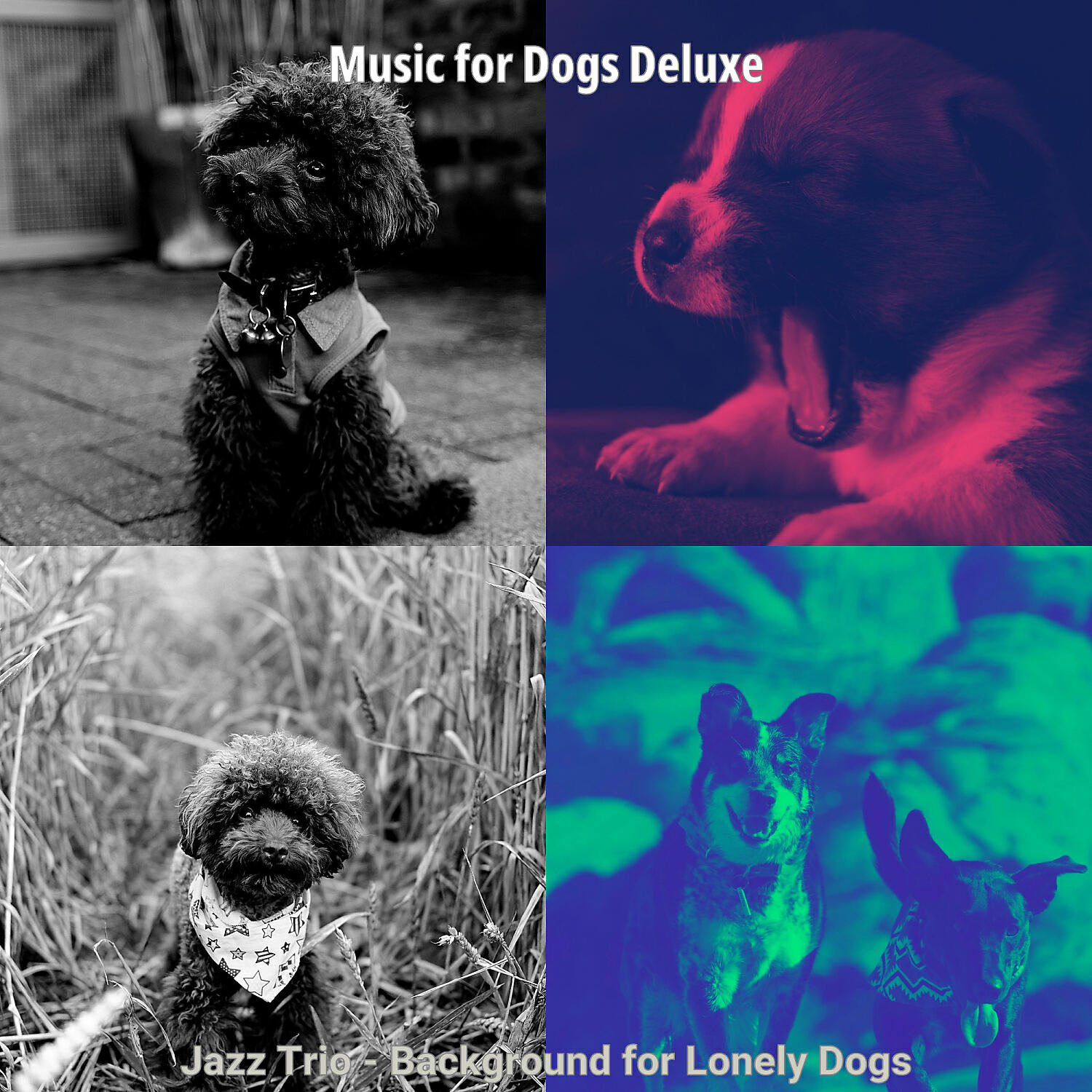 Music for Dogs Deluxe - Trio Jazz Soundtrack for Lonely Dogs