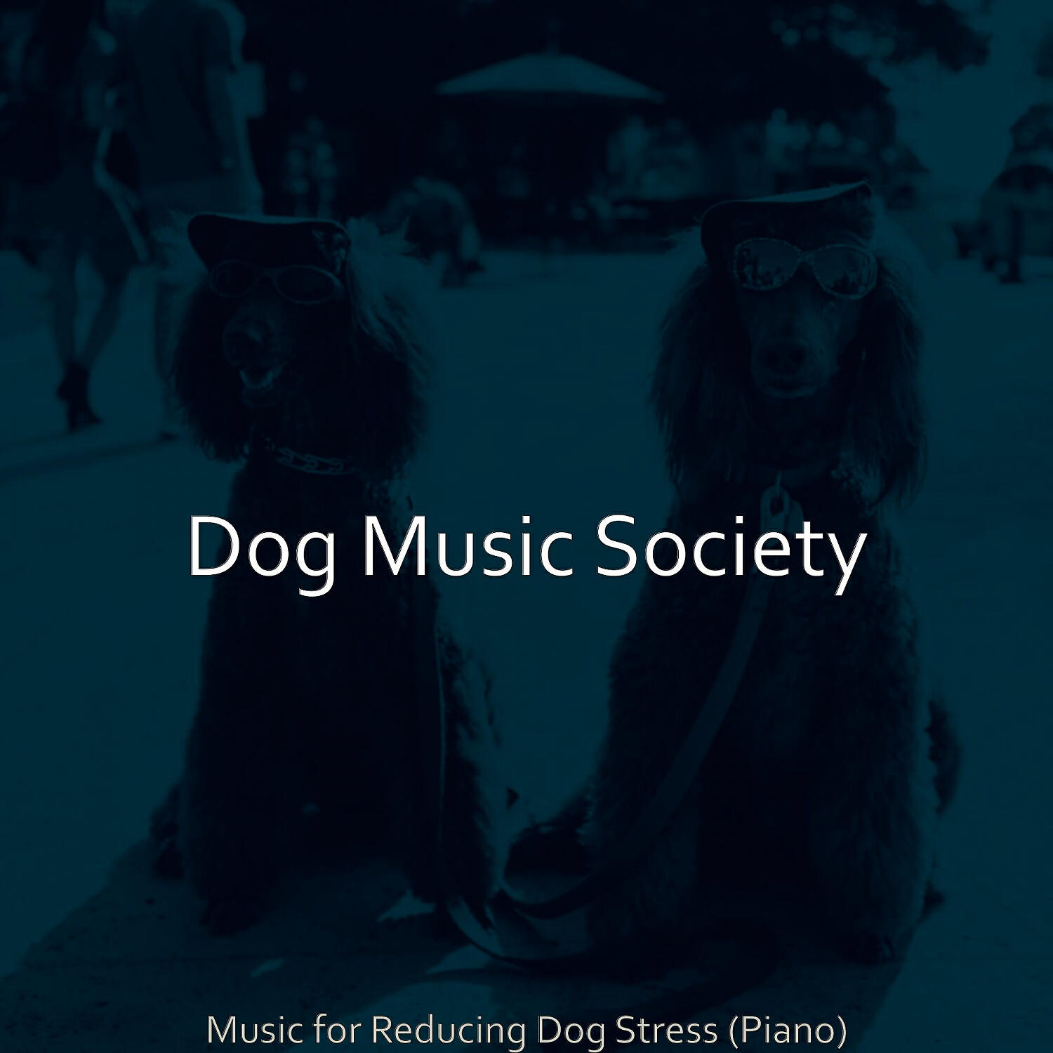 Dog Music Society - Remarkable Ambience for Resting Dogs