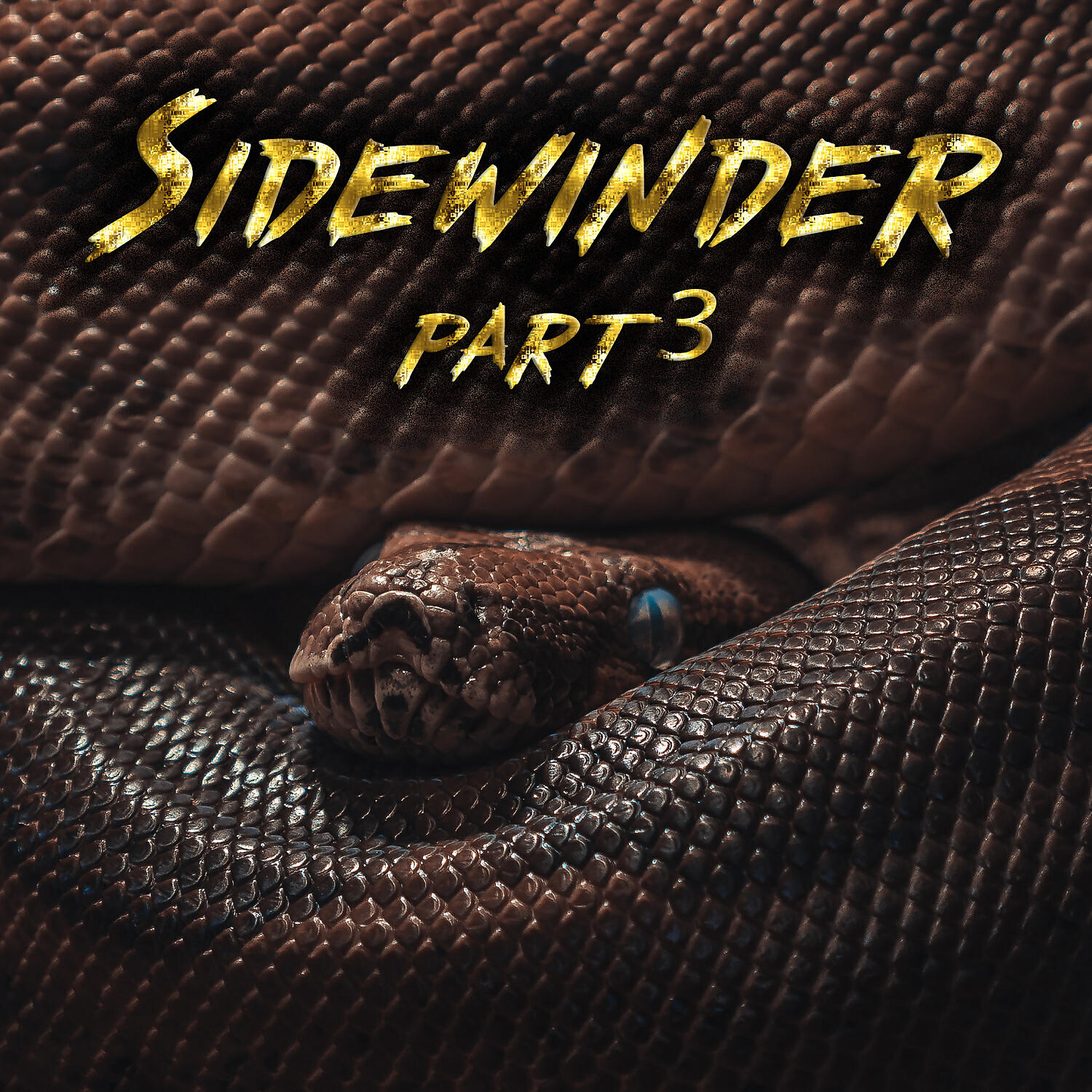 Hypebeast - Sidewinder part 3