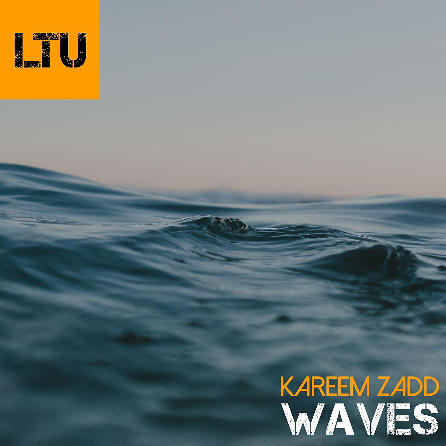 Kareem Zadd - Waves (Original Mix)