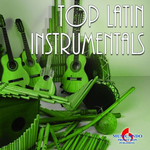 Постер альбома Top Hits Latin Instrumentals