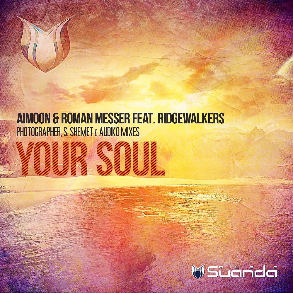Постер альбома Your Soul (Remixes)