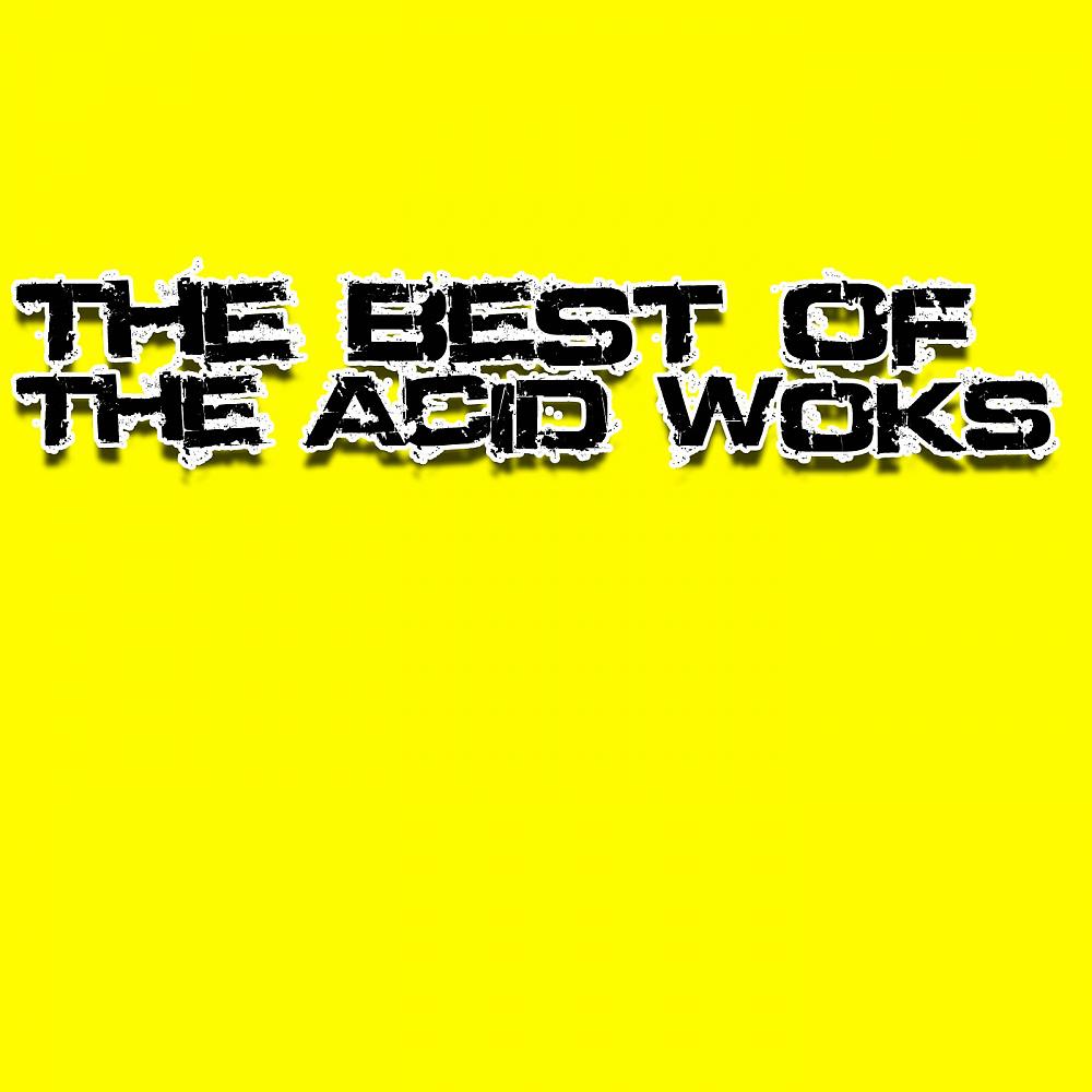 Постер альбома The Best Of The Acid Woks