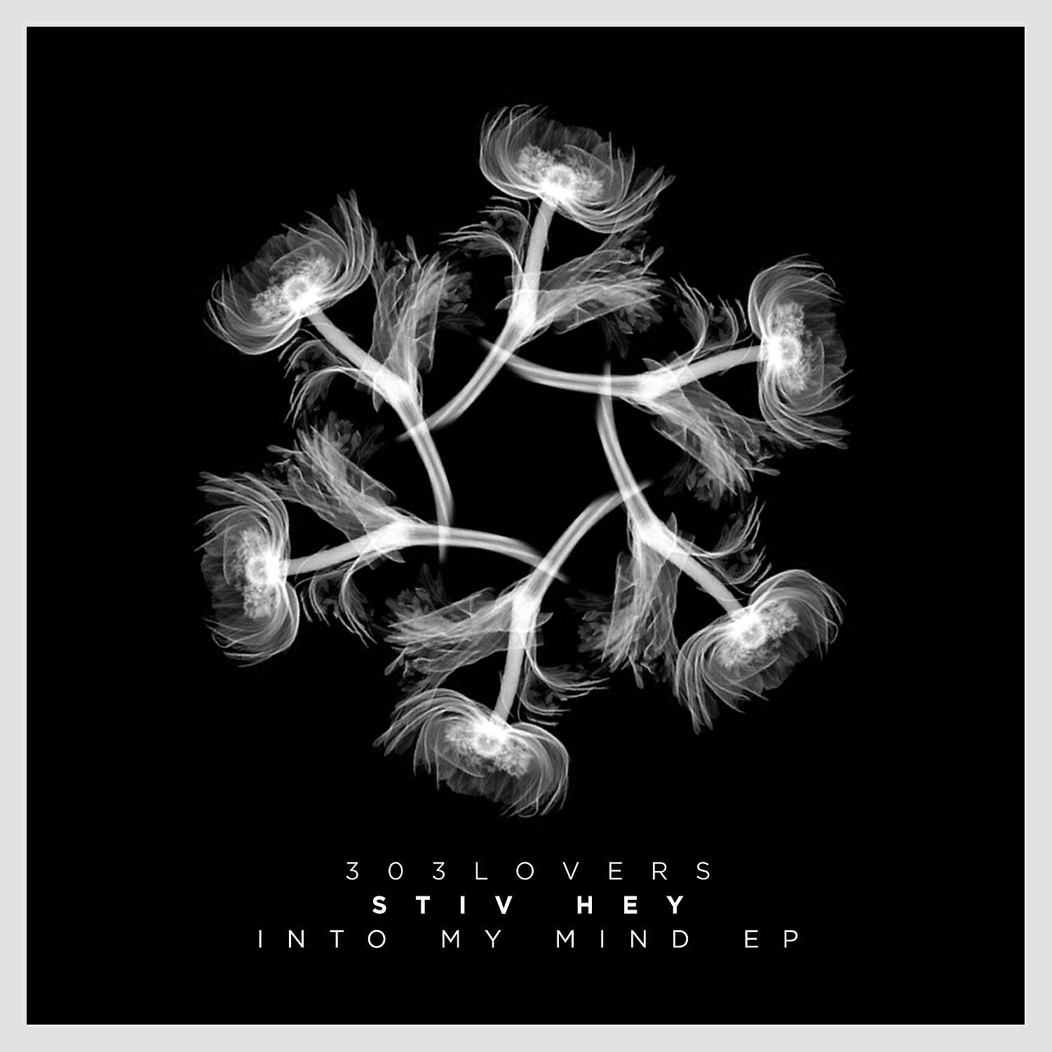 Stiv Hey - Something You Can Get (Original Mix)