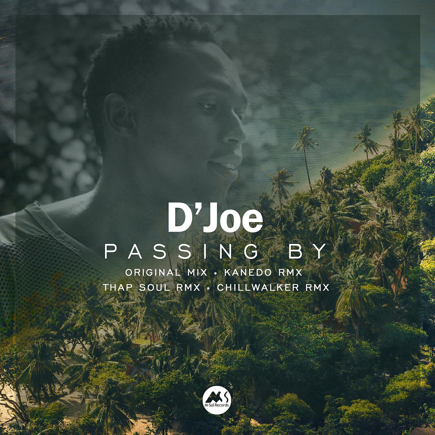D'Joe - Passing By (Kanedo Rmx)