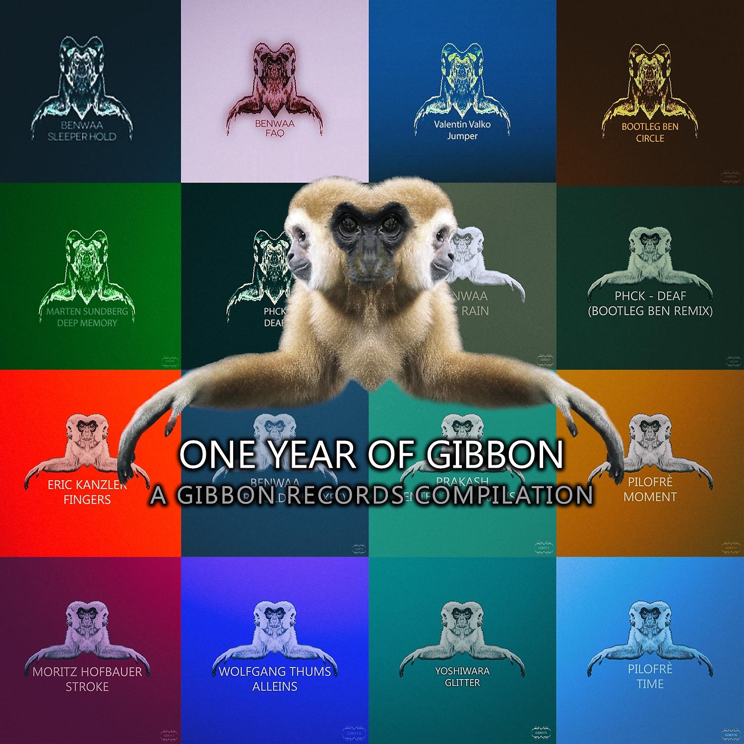 Постер альбома One Year of Gibbon Records