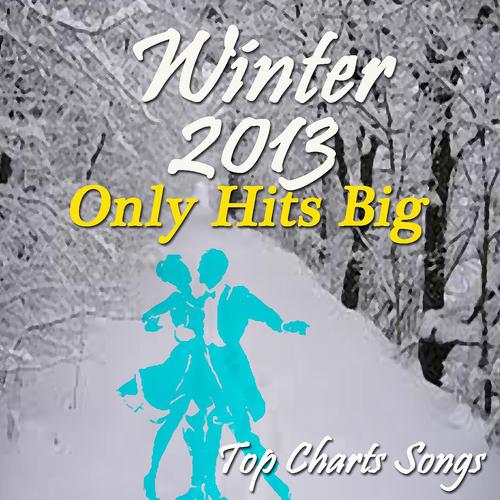 Постер альбома Winter 2013: Only Big Hits