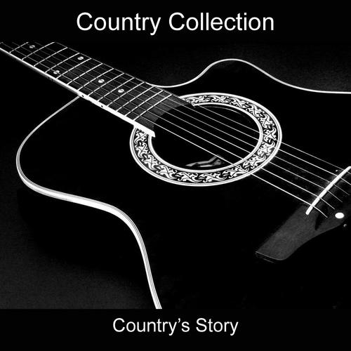 Постер альбома Country's Story (Country Collection 36 Songs)