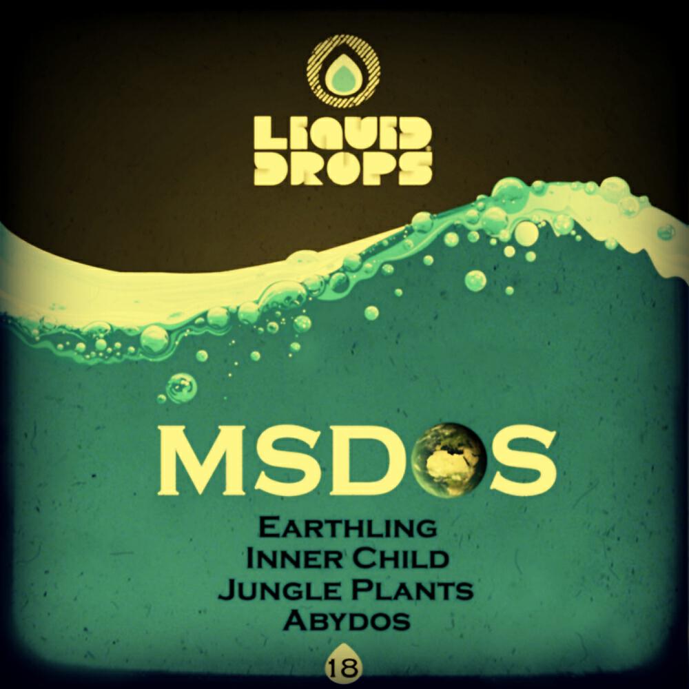 MsDoS - Earthling