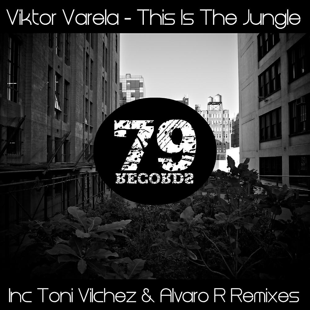 Viktor Varela - This Is The Jungle (Alvaro R Remix)