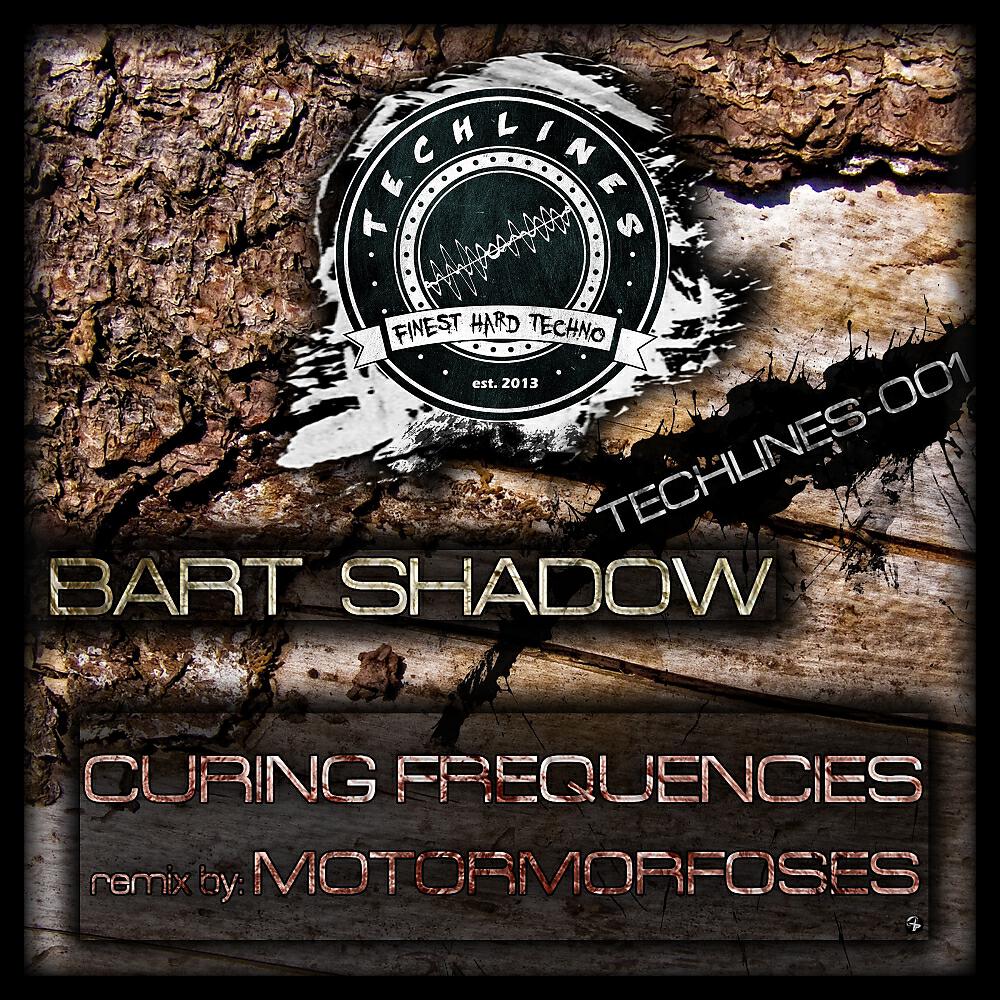Bart Shadow - Curing Frequencies