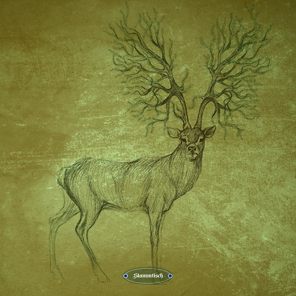 Stube - Casuality