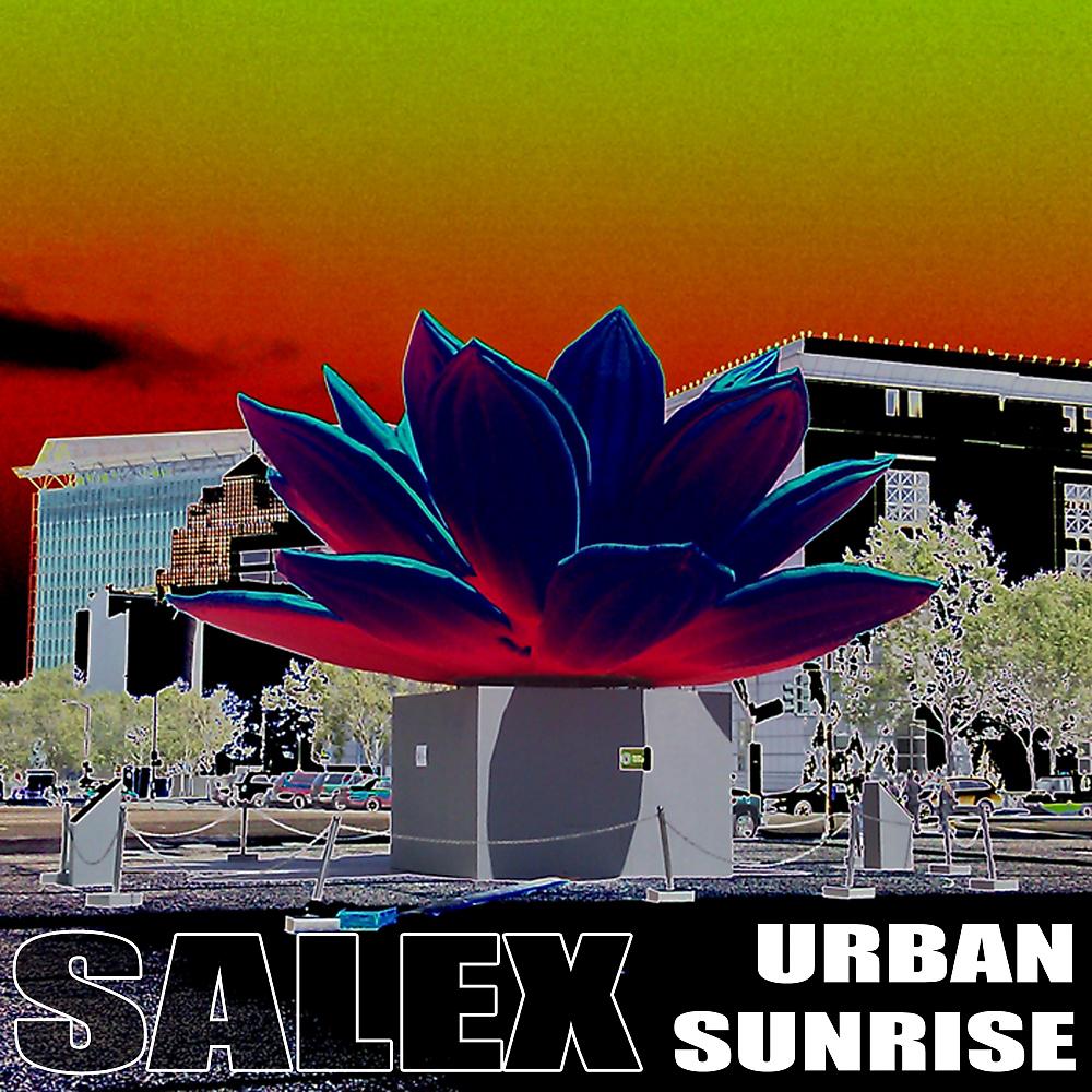Постер альбома Urban Sunrise