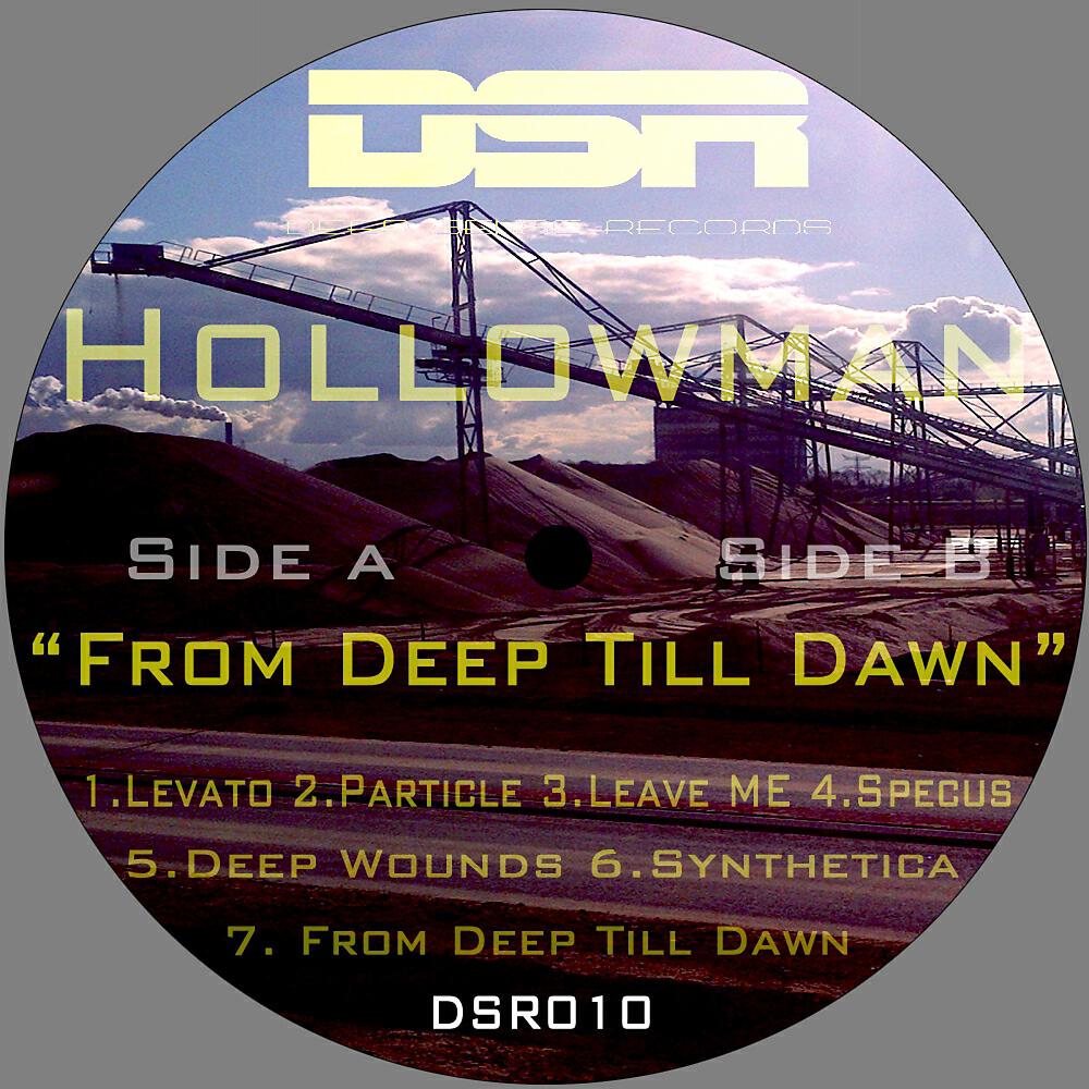 Hollowman - Synthetica