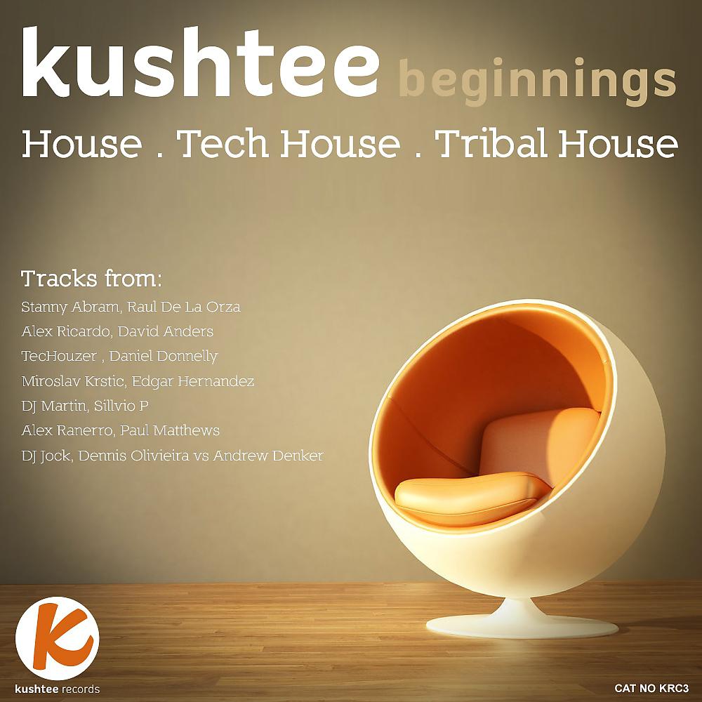 Постер альбома Kushtee Beginnings