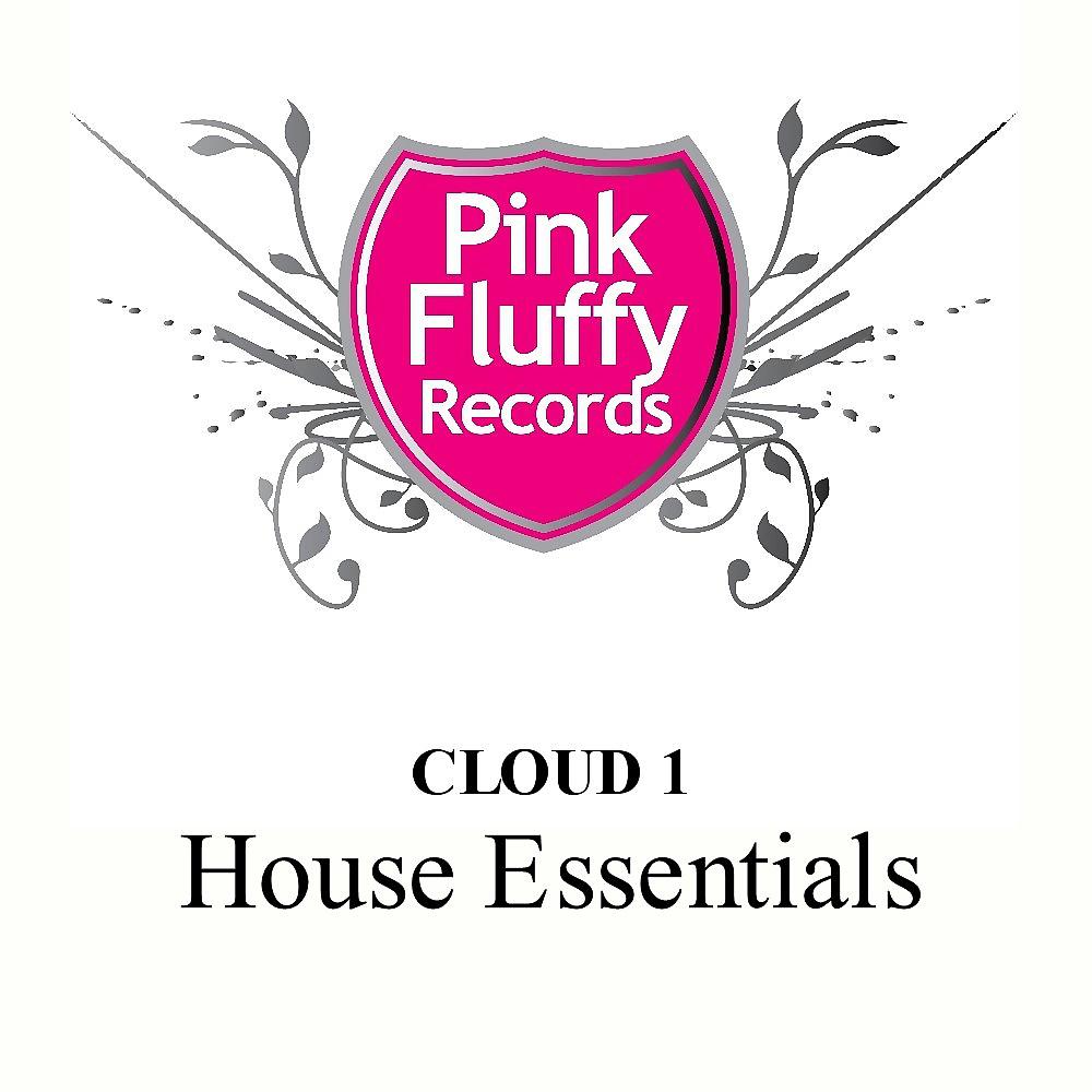 Постер альбома Cloud 1 - House Essentials