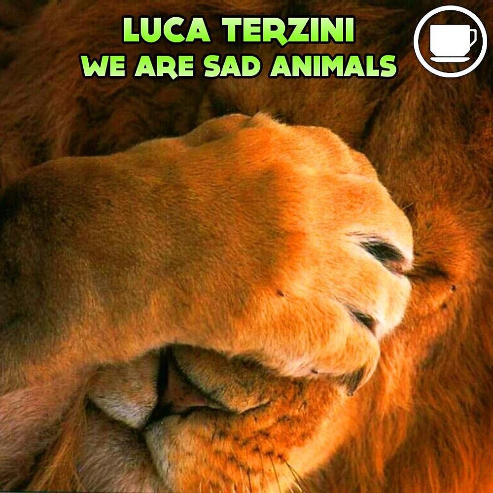 Luca Terzini - We Are Sad Animals (DgtalSystem Remix)